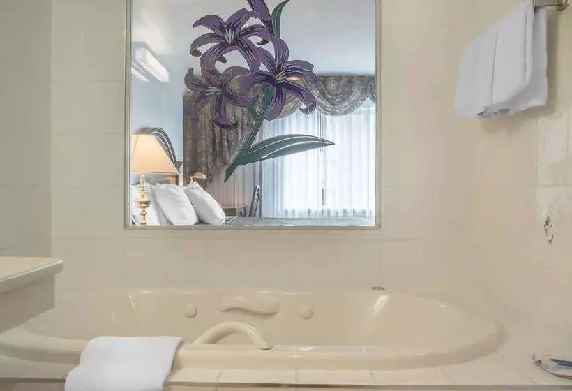 Fotos del hotel Rodeway Inn Fallsview:  4