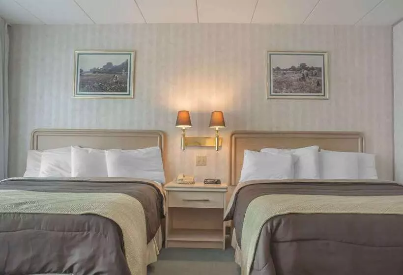 Fotos del hotel Rodeway Inn Fallsview:  10