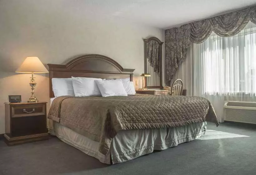 Fotos del hotel Rodeway Inn Fallsview:  18