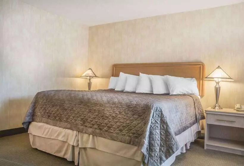 Fotos del hotel Rodeway Inn Fallsview:  19