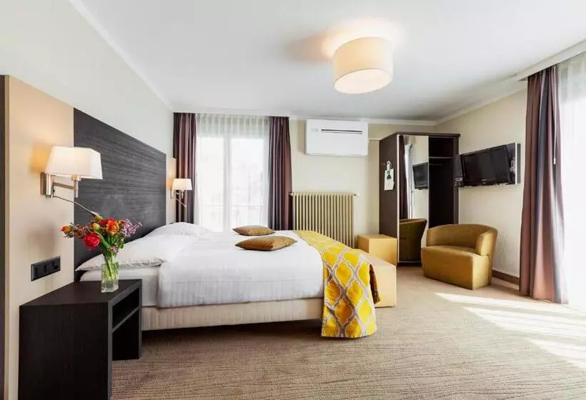 Fotos del hotel Hôtel Bellerive:  11