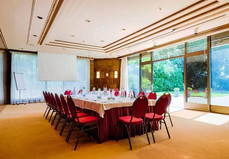 Fotos del hotel Royal Plaza Montreux & Spa:  19