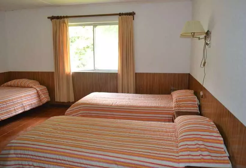 Fotos del hotel Victoria:  22