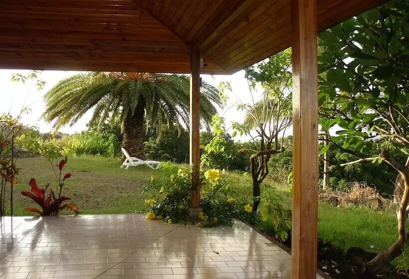 Fotos del hotel Victoria:  3