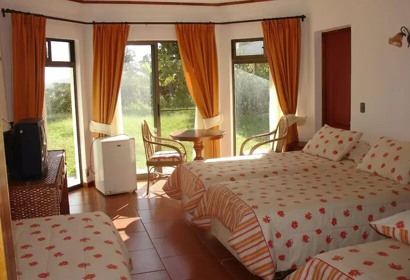 Fotos del hotel Victoria:  23