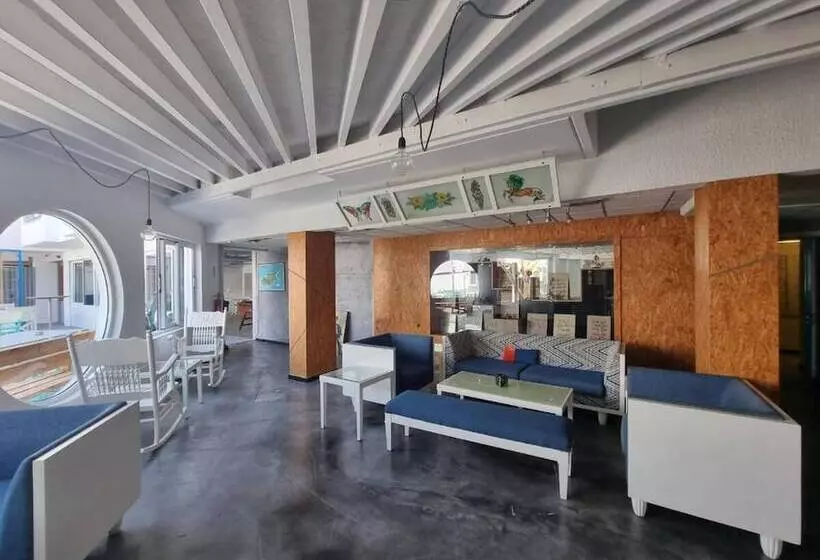 Fotos del hotel Nereus:  3