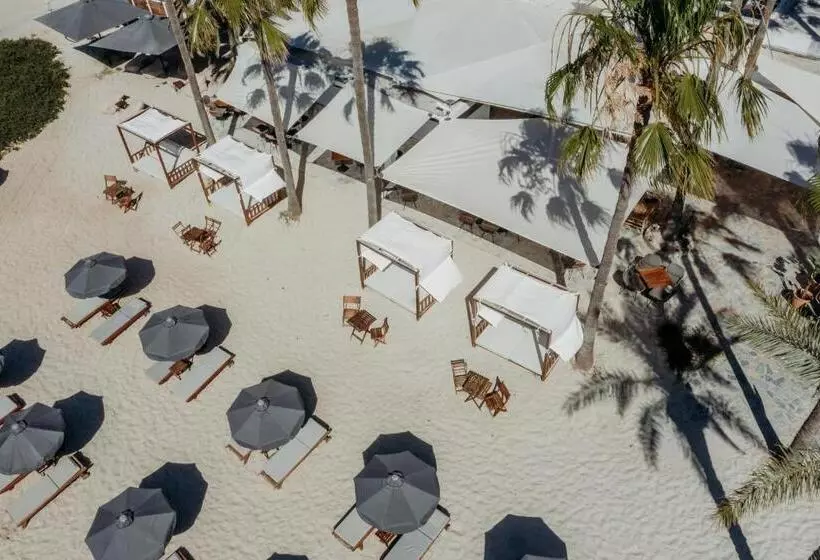 Fotos del hotel Nissi Beach Resort:  4