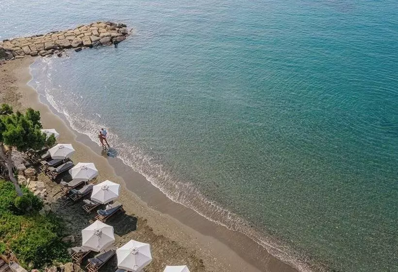 Fotos del hotel The Royal Apollonia:  16