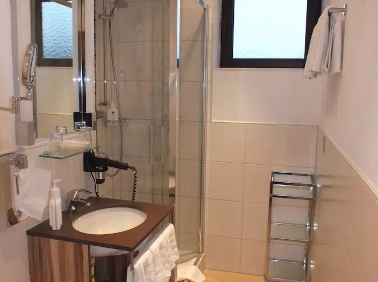 Fotos del hotel Stadt Pasing:  7