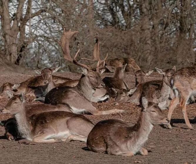 Fotos del hotel Helnan Marselis:  8