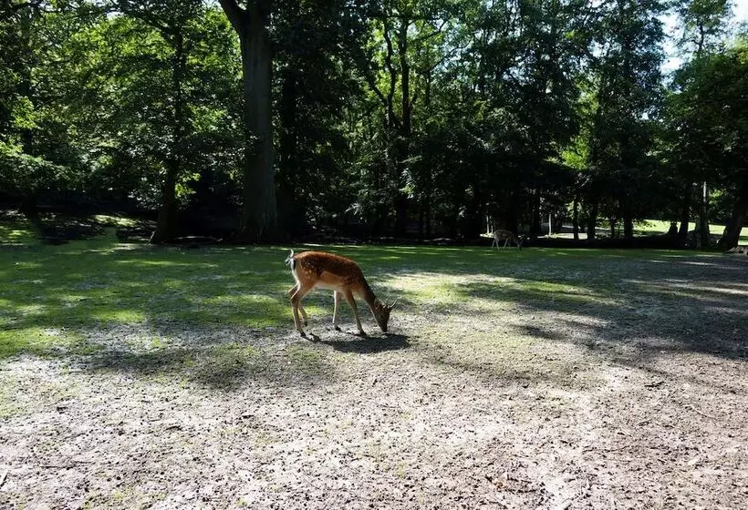 Fotos del hotel Helnan Marselis:  23
