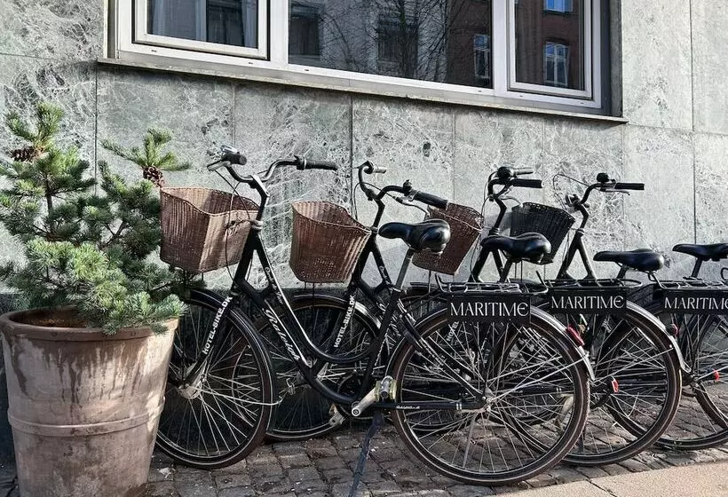 Fotos del hotel Maritime:  7