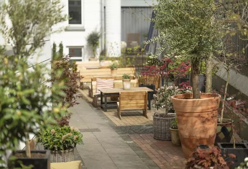 Fotos del hotel Mayfair:  16