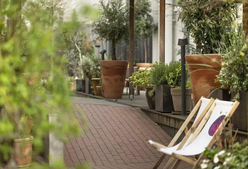 Fotos del hotel Mayfair:  5