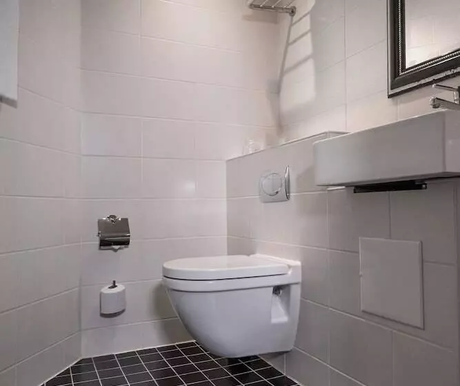 Fotos del hotel Mayfair:  17