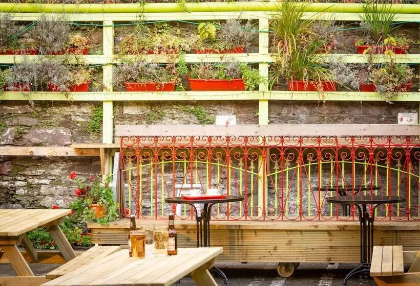 Fotos del hotel Ashley:  6