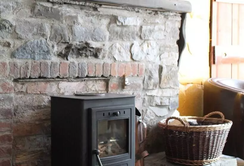 Fotos del hotel Ashley:  17