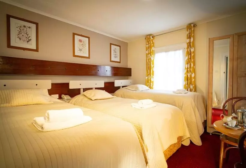 Fotos del hotel Ashley:  9