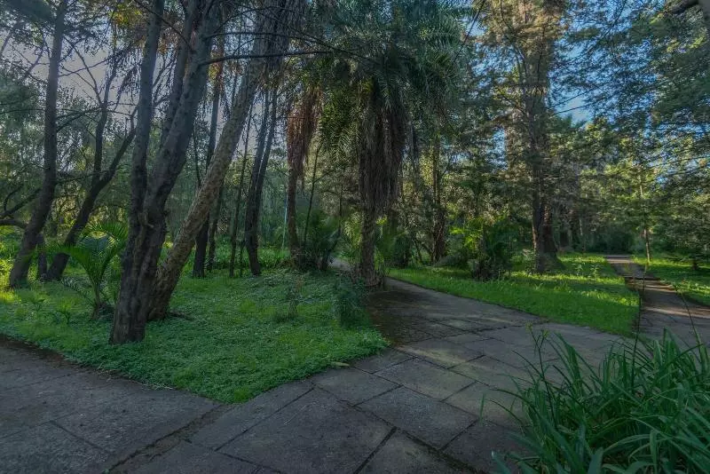 Fotos del hotel Ghion:  22