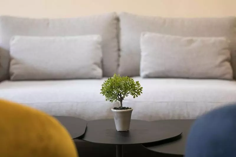 Fotos del hotel Best Western Hotel Innes Toulouse Centre:  19