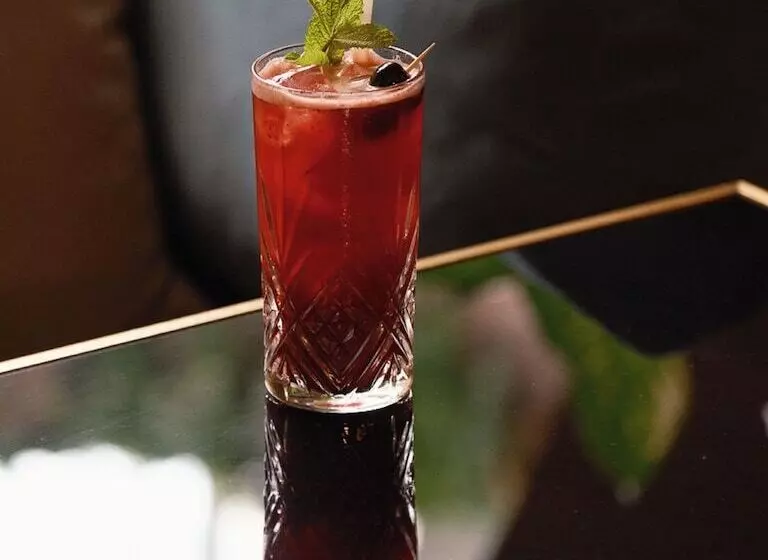 Fotos del hotel Burdigala Bordeaux:  25