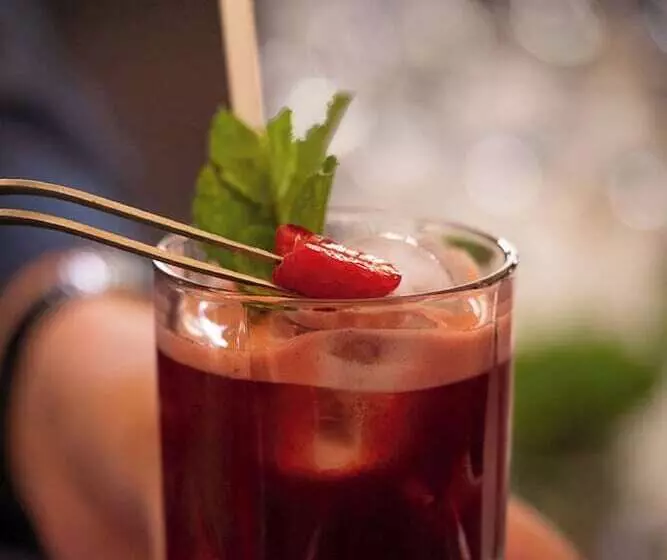 Fotos del hotel Burdigala Bordeaux:  2