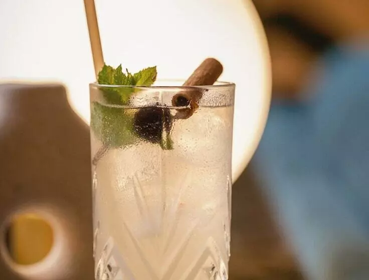 Fotos del hotel Burdigala Bordeaux:  18