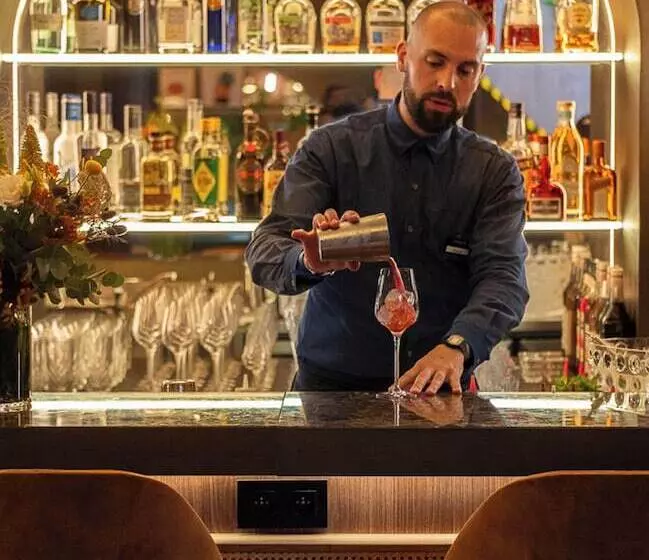 Fotos del hotel Burdigala Bordeaux:  16