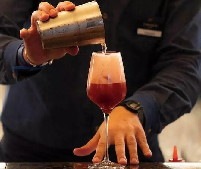 Fotos del hotel Burdigala Bordeaux:  10