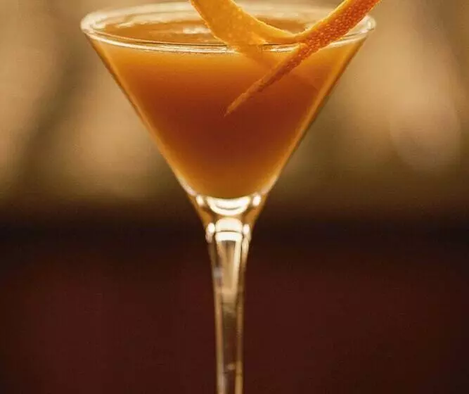 Fotos del hotel Burdigala Bordeaux:  5