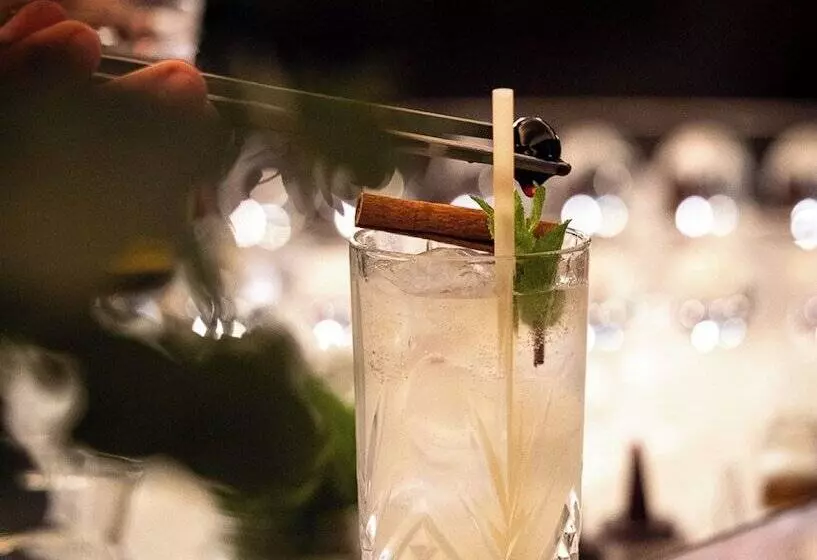 Fotos del hotel Burdigala Bordeaux:  22