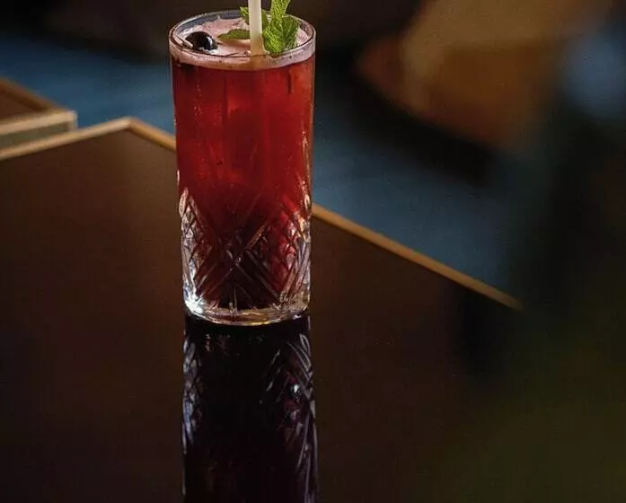 Fotos del hotel Burdigala Bordeaux:  13