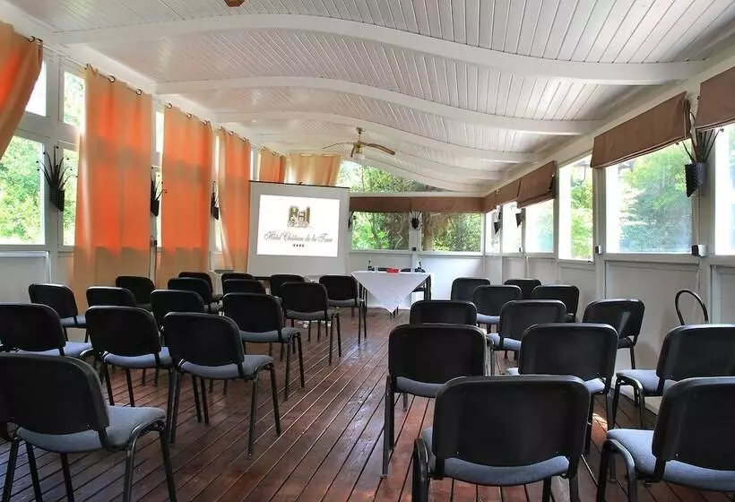 Fotos del hotel Hôtel Château De La Tour:  5