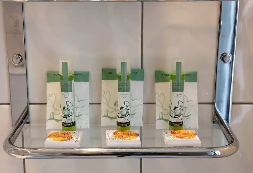 Fotos del hotel Des Nations Saint Germain:  13