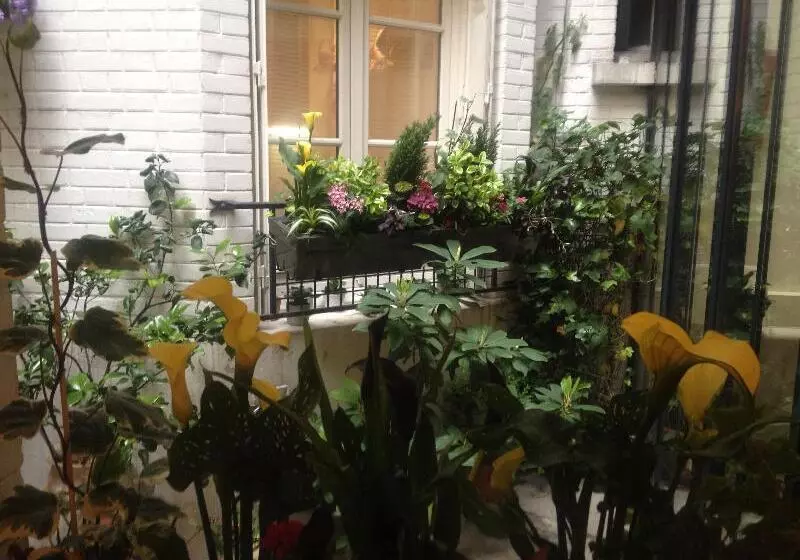 Fotos del hotel Virgina:  13