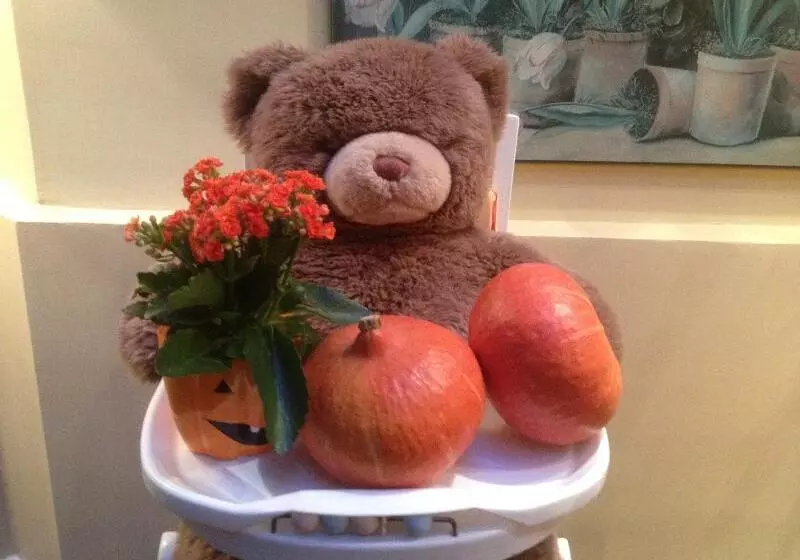 Fotos del hotel Virgina:  14