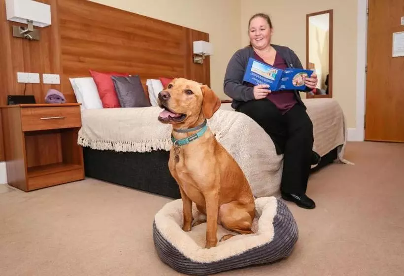 Fotos del hotel Marsham Court:  20