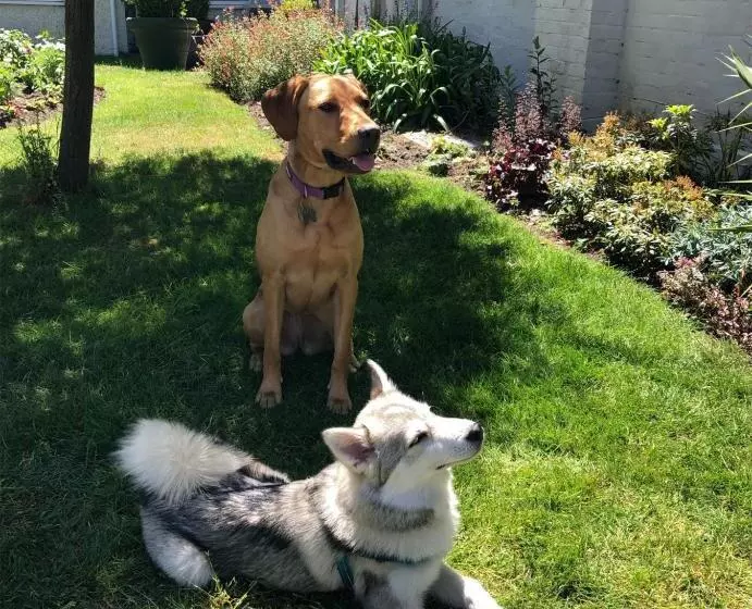 Fotos del hotel Marsham Court:  22