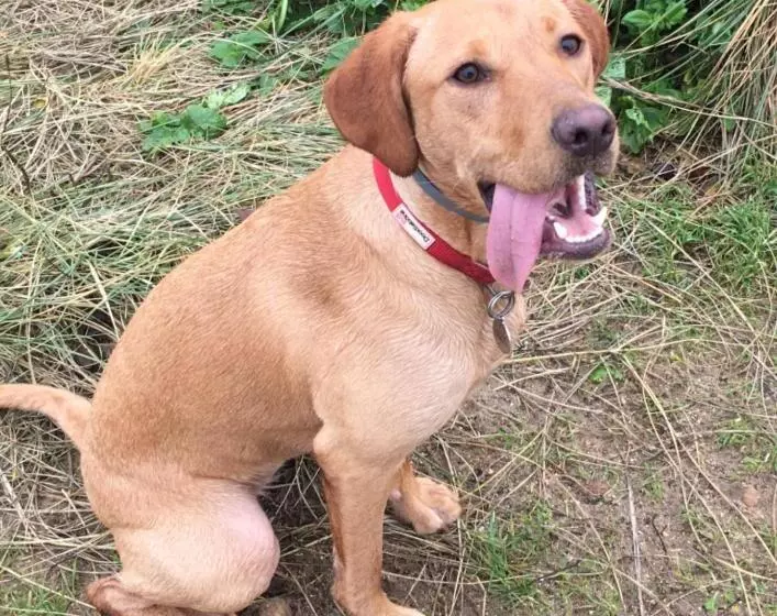 Fotos del hotel Marsham Court:  15