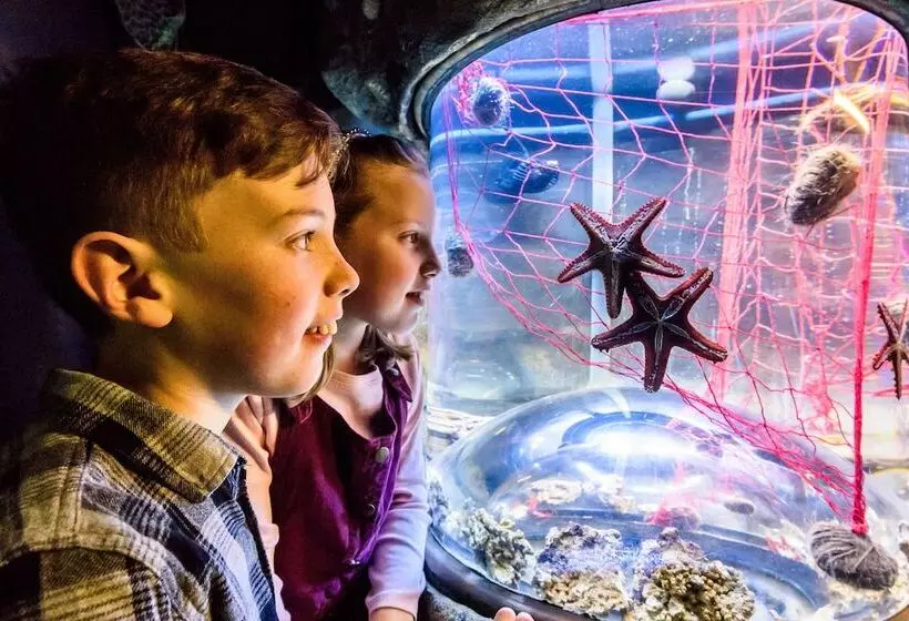 Fotos del hotel Mercure Brighton Seafront:  23