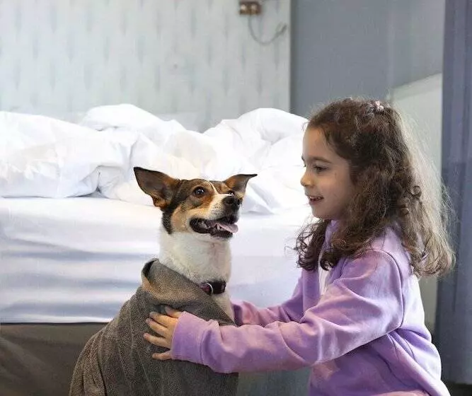 Fotos del hotel Abc:  7