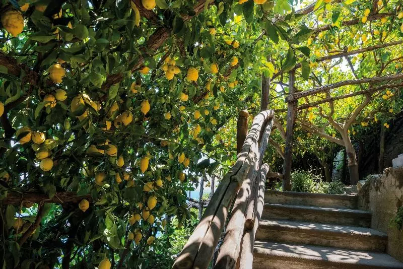 Fotos del hotel Santa Caterina:  6