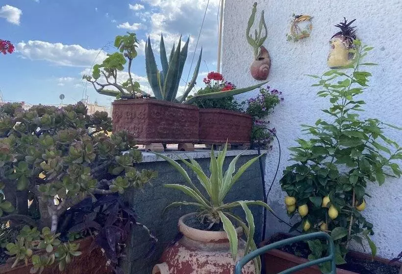 Fotos del hotel Up:  13