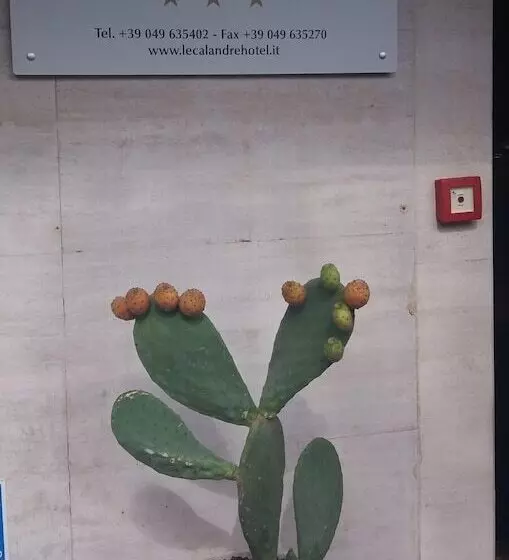 Fotos del hotel Le Calandre:  7