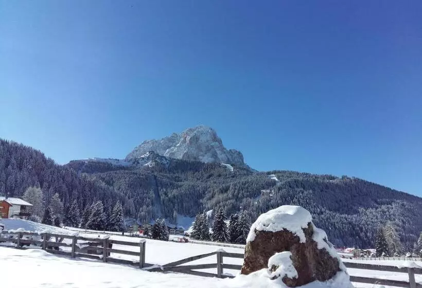 Fotos del hotel Oswald:  16