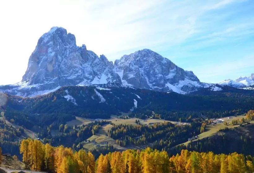 Fotos del hotel Oswald:  8