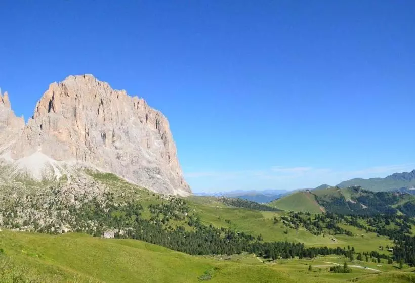 Fotos del hotel Oswald:  13