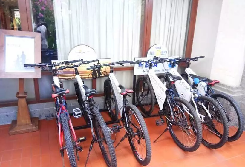 Fotos del hotel Rama Beach Resort And Villas:  19