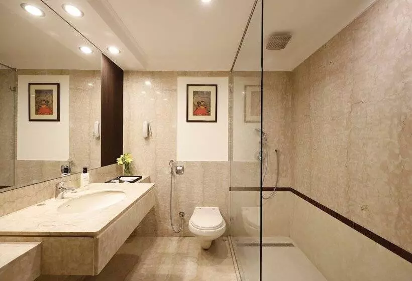 Fotos del hotel Mansingh:  12