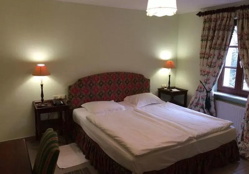 Fotos del hotel Hôtel Le Châtelet:  7